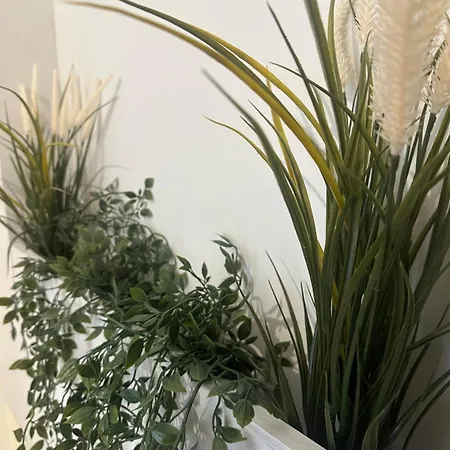 Bloom - Near Hospital - Free Wifi Apartment